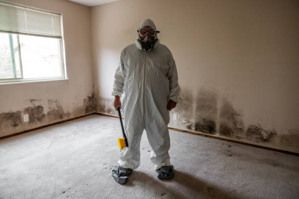 Best Emergency Mold Removal  in Miami Beach, FL